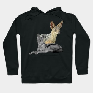 Jackal in Kenya / Africa Hoodie